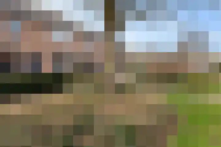 Reiger 8 Genemuiden thumbnail 5