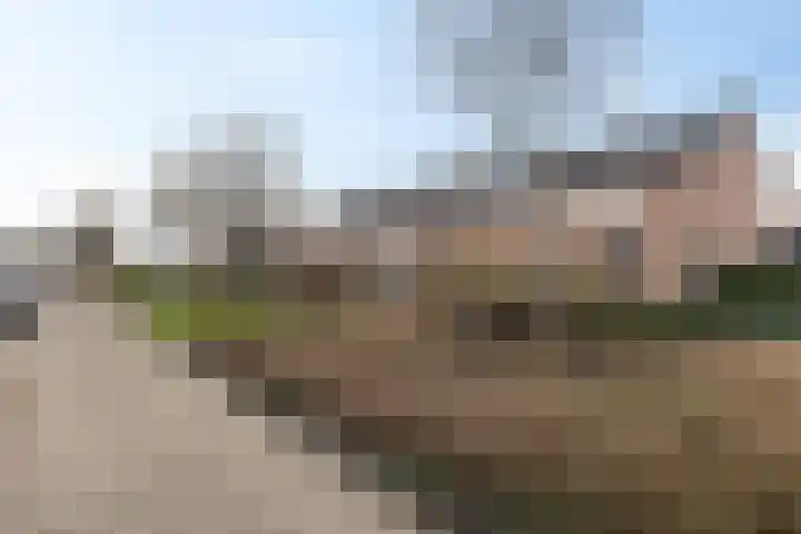 Reiger 8 Genemuiden thumbnail 6