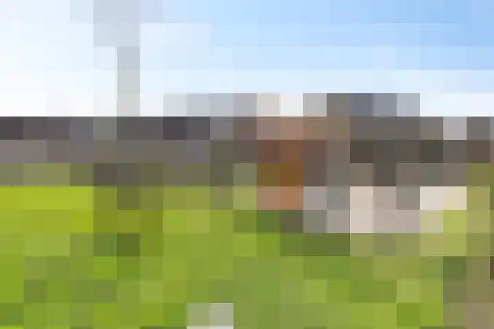Reiger 8 Genemuiden thumbnail 7