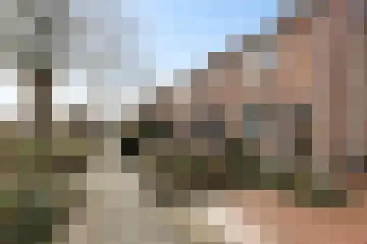 Reiger 8 Genemuiden thumbnail 8
