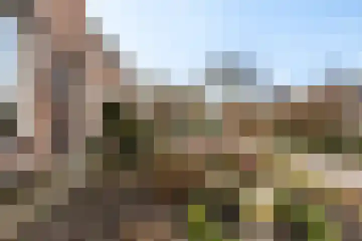 Reiger 8 Genemuiden thumbnail 9