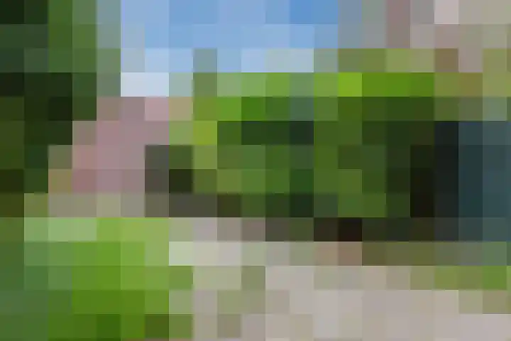Reiger 80 Hoorn thumbnail 35