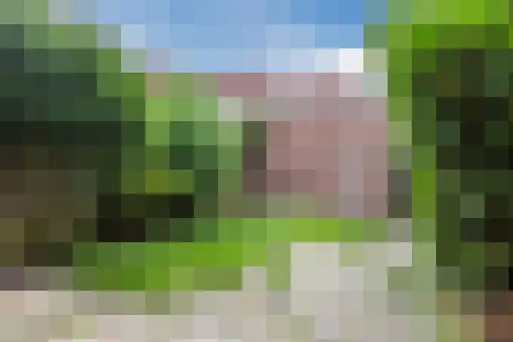 Reiger 80 Hoorn thumbnail 36