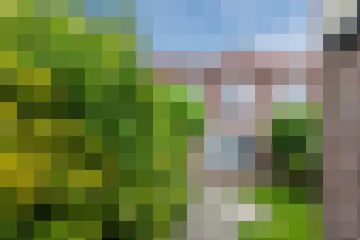 Reiger 80 Hoorn thumbnail 37