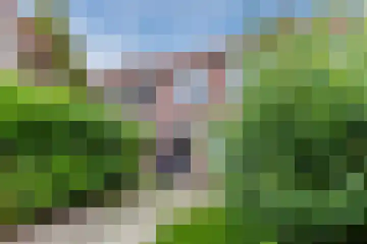 Reiger 80 Hoorn thumbnail 38