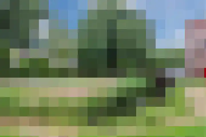 Reiger 80 Hoorn thumbnail 41