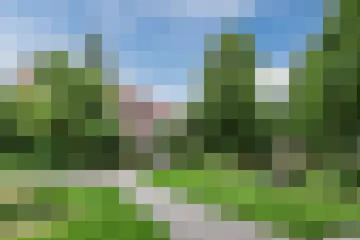 Reiger 80 Hoorn thumbnail 42