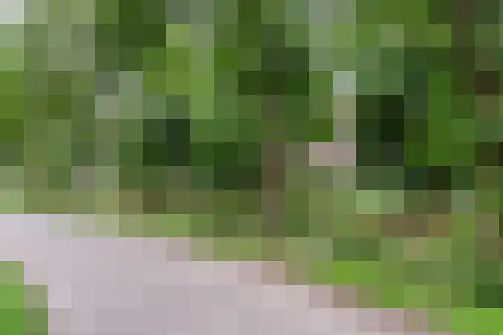 Reiger 80 Hoorn thumbnail 45