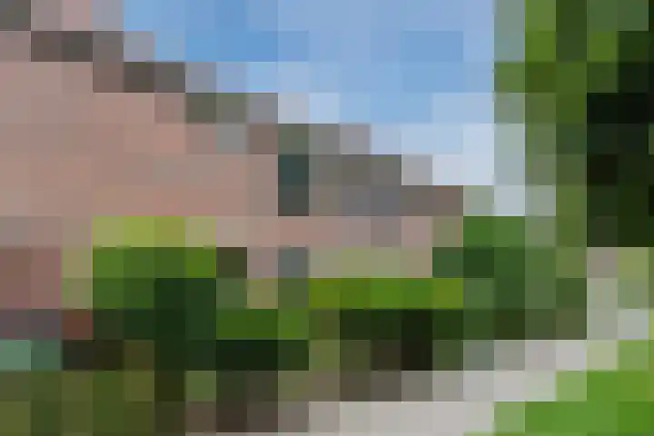 Reiger 80 Hoorn thumbnail 5