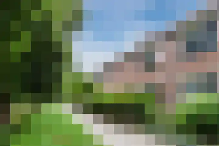 Reiger 80 Hoorn thumbnail 6