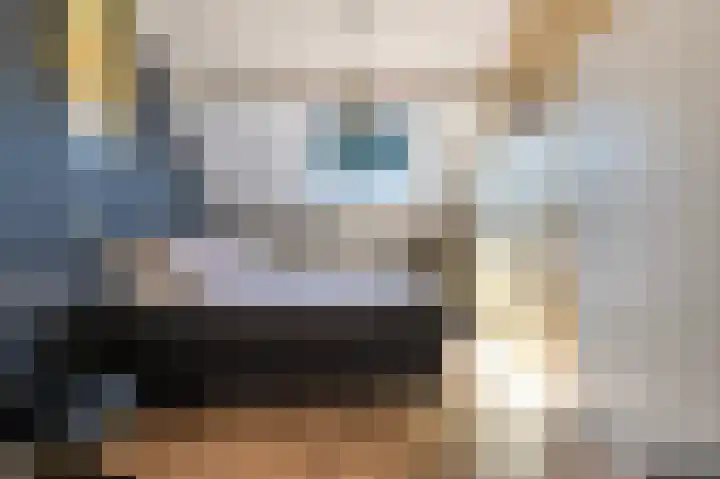 Reiger 88 Raalte thumbnail 30