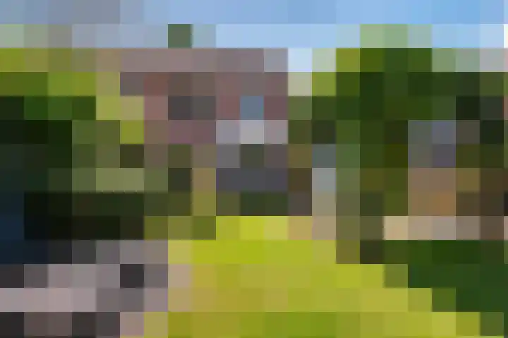 Reiger 88 Raalte thumbnail 31