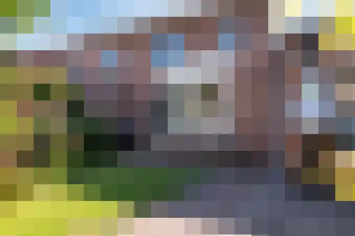 Reiger 88 Raalte thumbnail 32