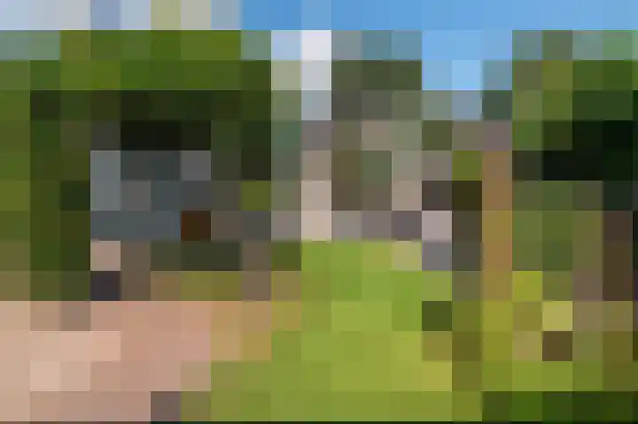Reiger 88 Raalte thumbnail 33