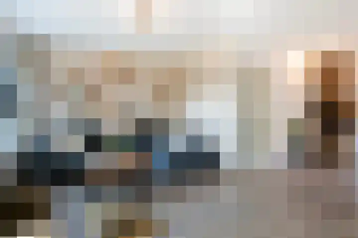Reiger 88 Raalte thumbnail 5