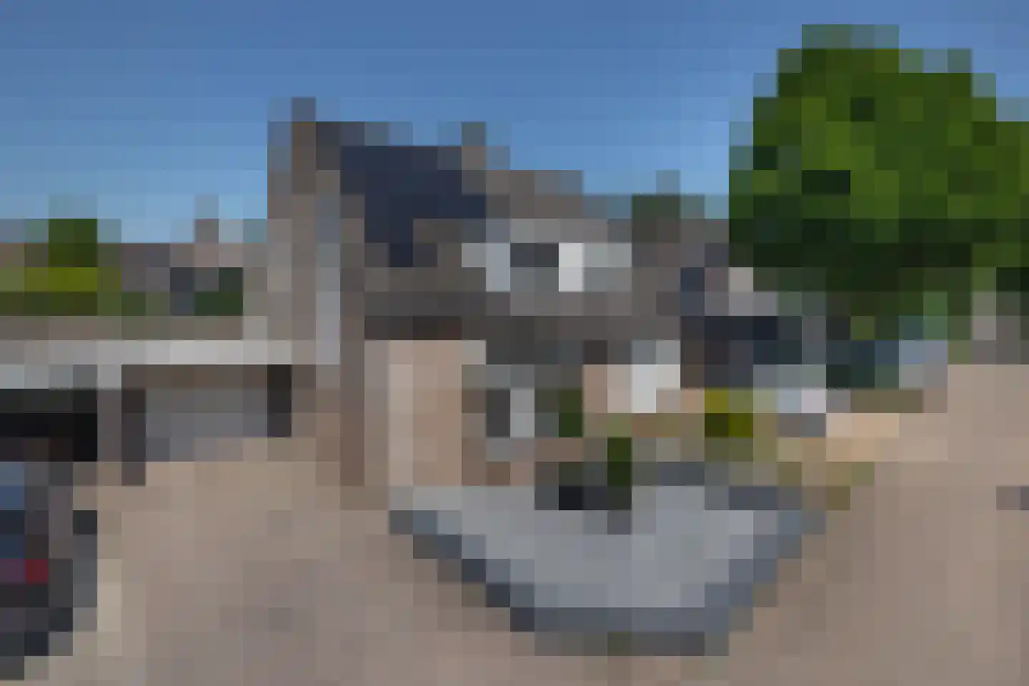 Reiger 9 Sprang-Capelle thumbnail 6