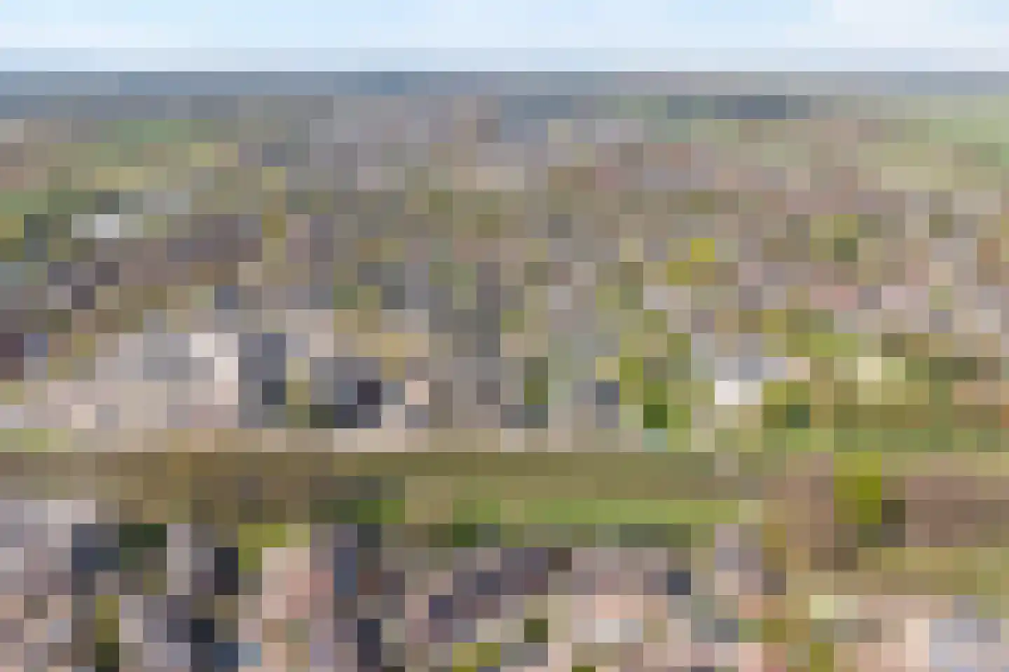 Reiger 90 Raalte thumbnail 10