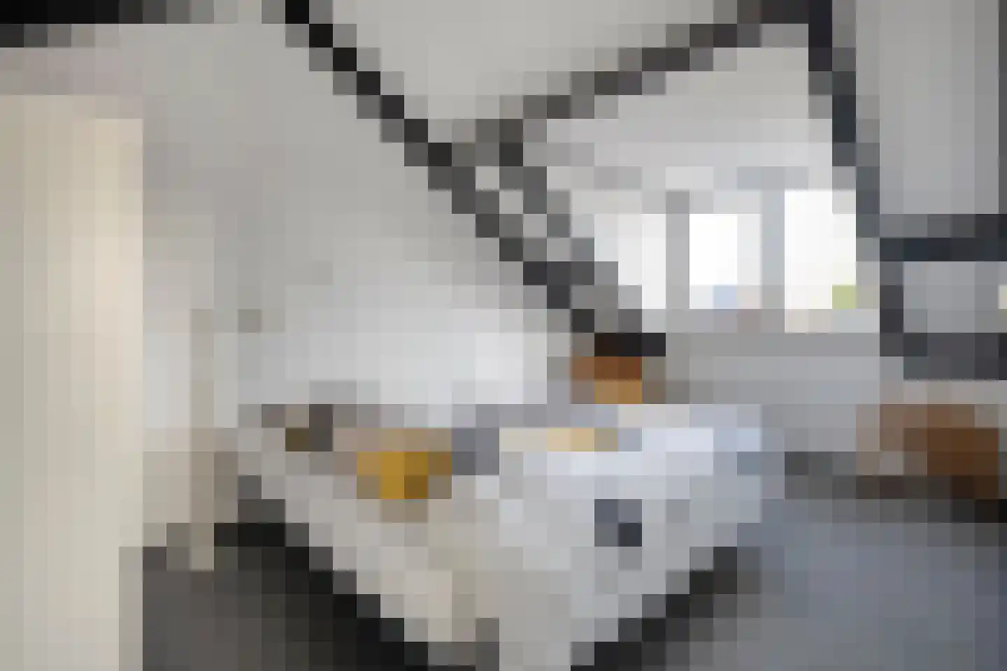 Reiger 90 Raalte thumbnail 43