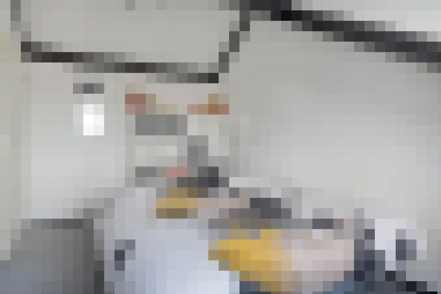Reiger 90 Raalte thumbnail 44