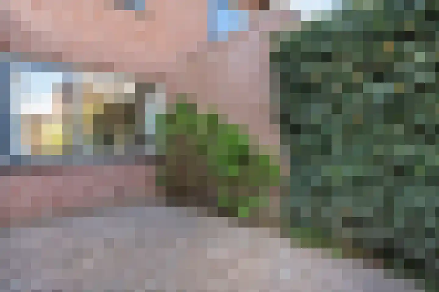 Reiger 90 Raalte thumbnail 48