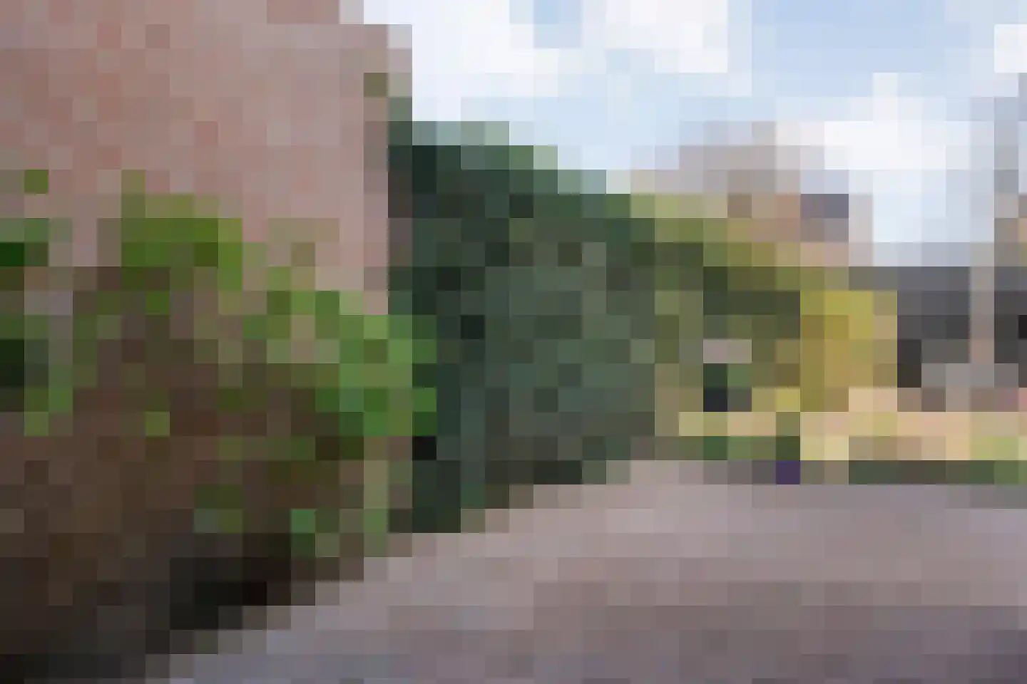 Reiger 90 Raalte thumbnail 49