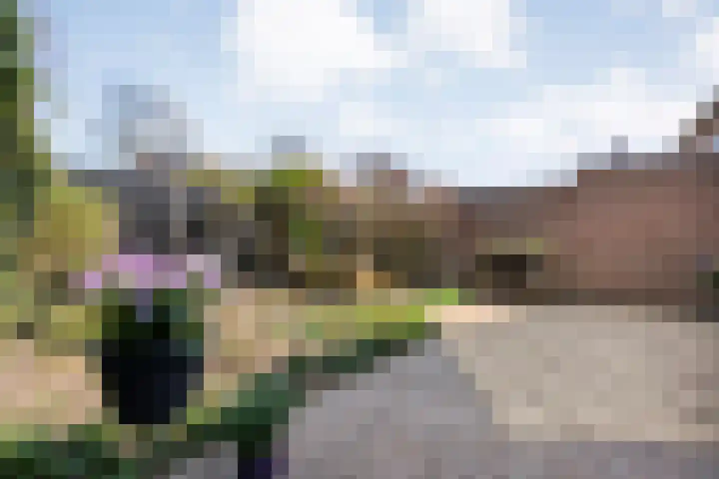 Reiger 90 Raalte thumbnail 50
