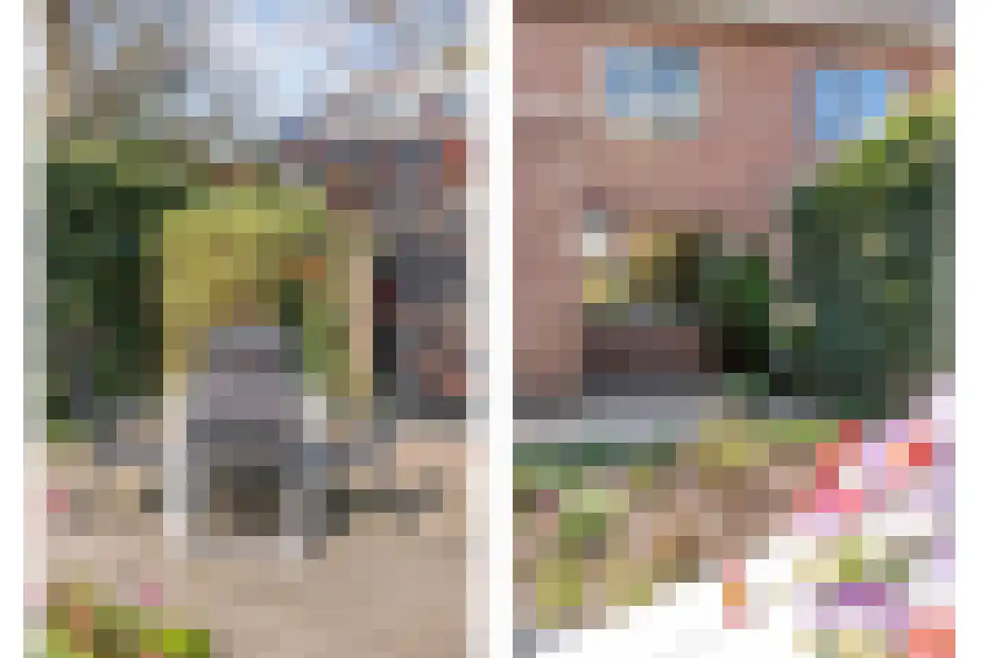 Reiger 90 Raalte thumbnail 52