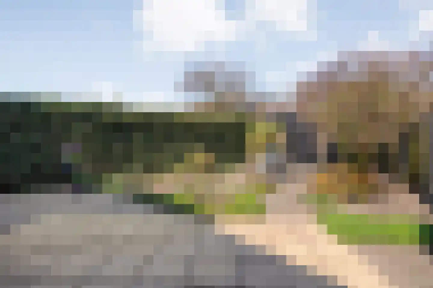 Reiger 90 Raalte thumbnail 53