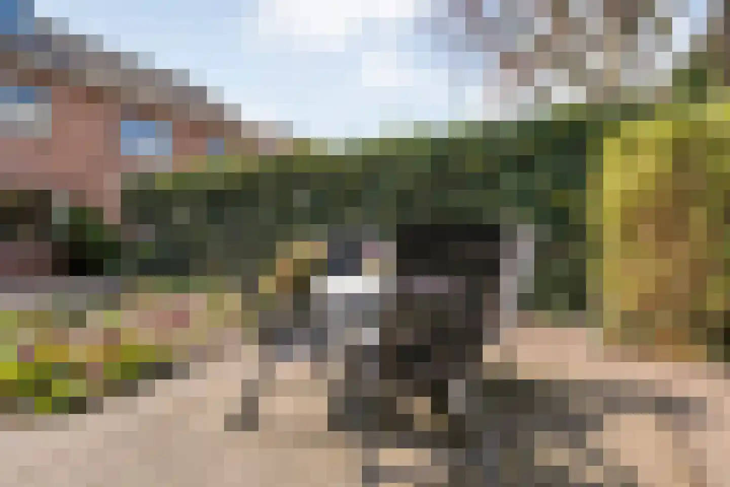 Reiger 90 Raalte thumbnail 54