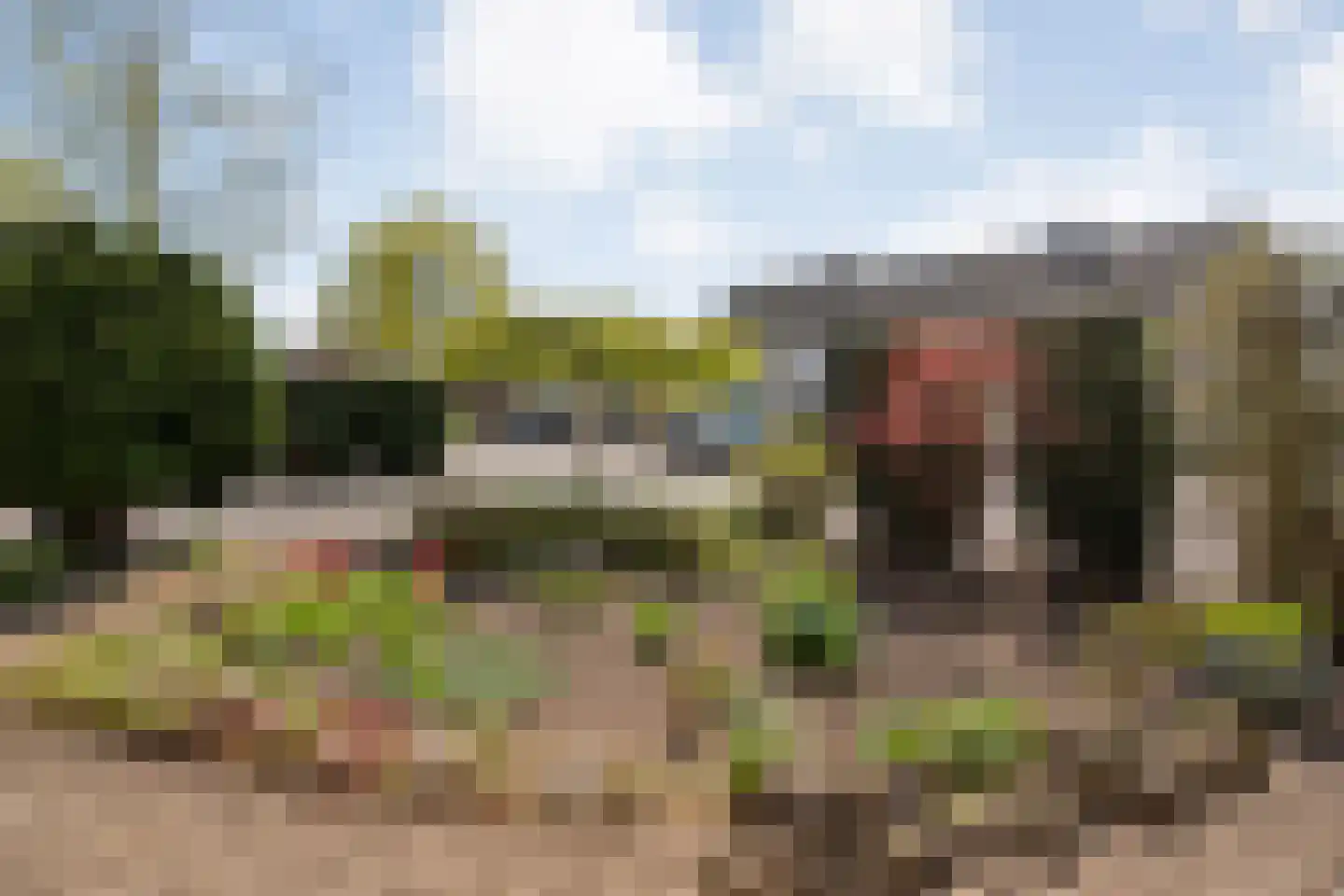 Reiger 90 Raalte thumbnail 8