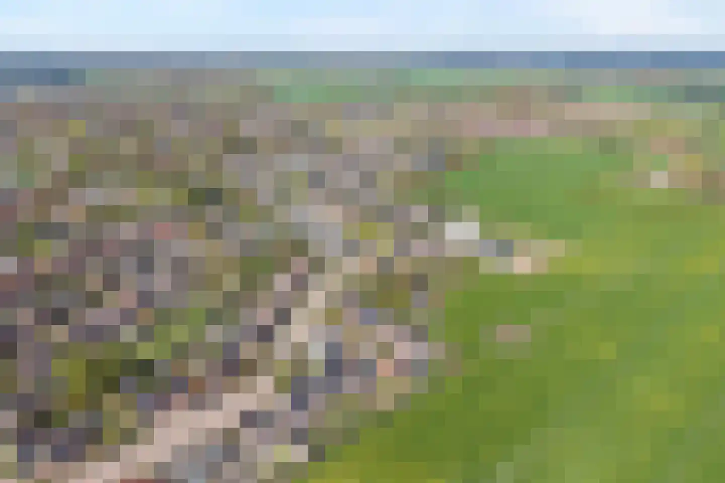 Reiger 90 Raalte thumbnail 9