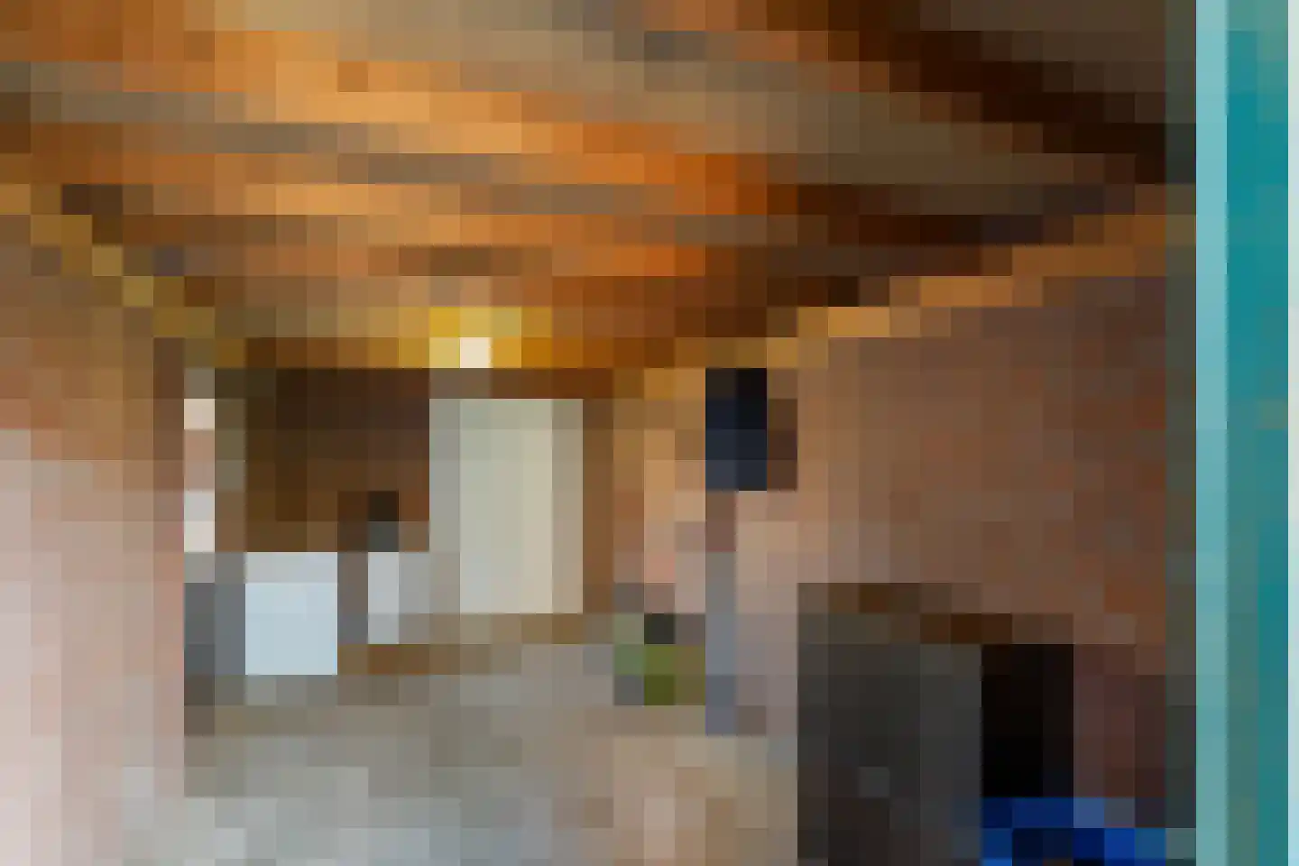 Reiger 94 Raalte thumbnail 33