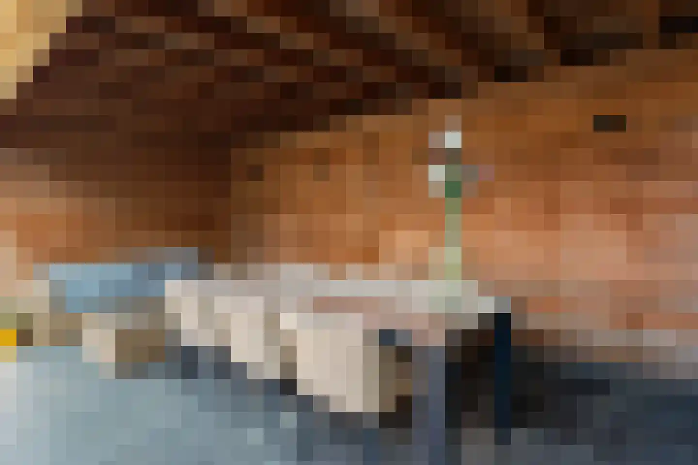 Reiger 94 Raalte thumbnail 39