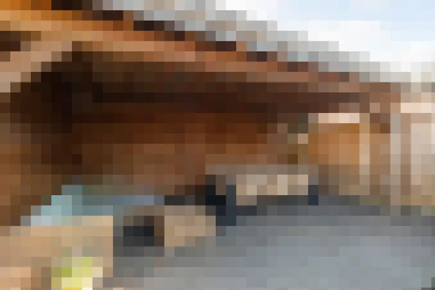 Reiger 94 Raalte thumbnail 40