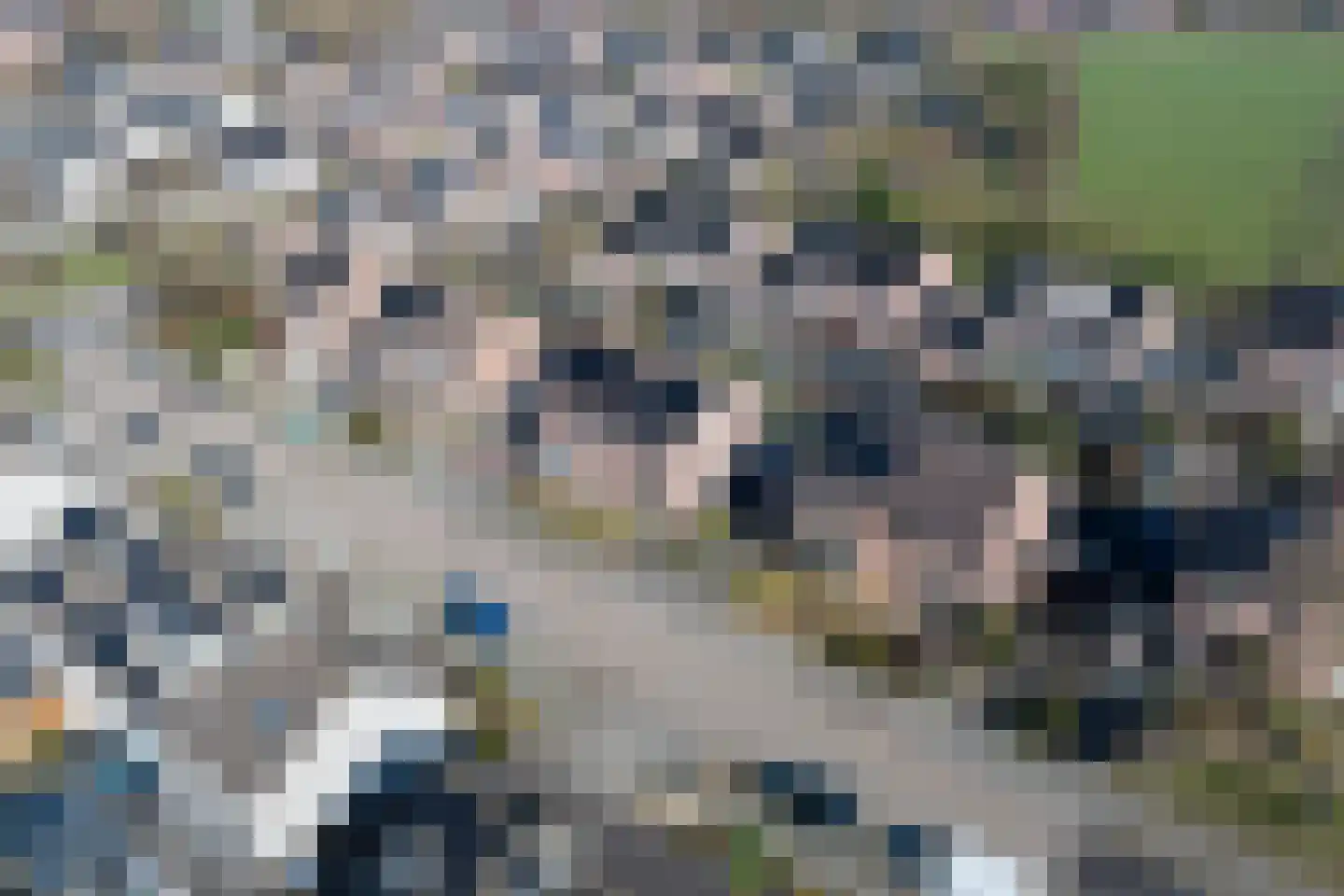 Reiger 94 Raalte thumbnail 41