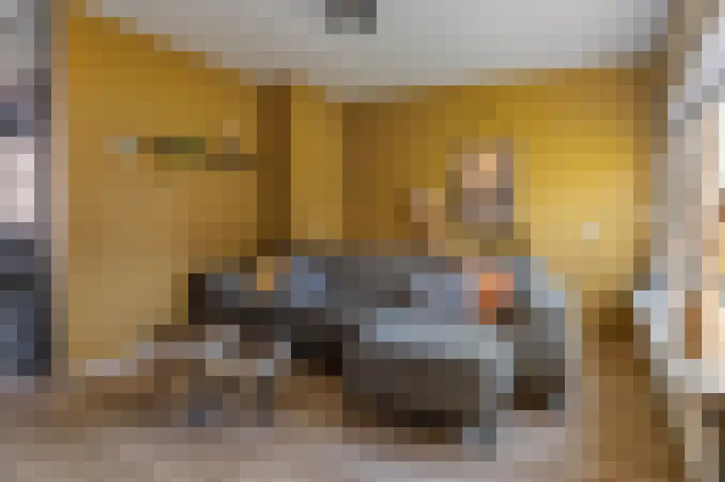 Reiger 94 Raalte thumbnail 8