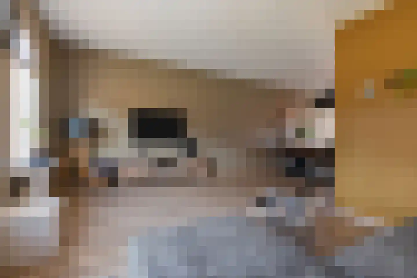 Reiger 94 Raalte thumbnail 9