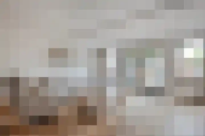 Reiger 97 Raalte thumbnail 10