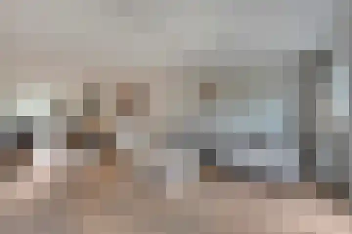 Reiger 97 Raalte thumbnail 12