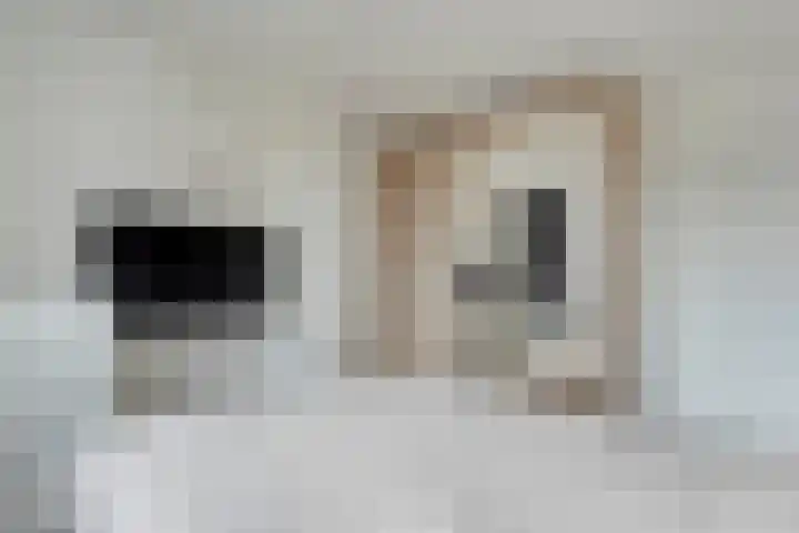 Reiger 97 Raalte thumbnail 21