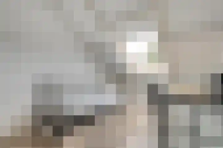 Reiger 97 Raalte thumbnail 30