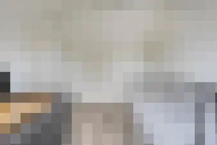 Reiger 97 Raalte thumbnail 31