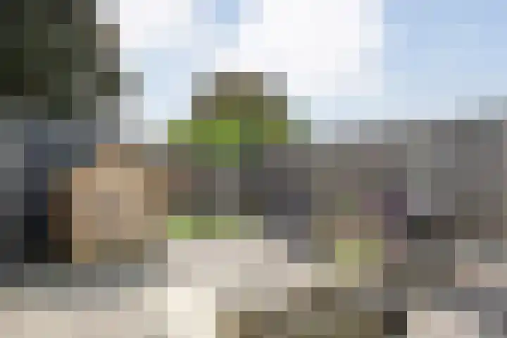 Reiger 97 Raalte thumbnail 33