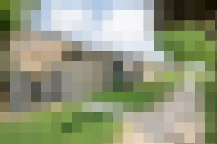 Reiger 97 Raalte thumbnail 39