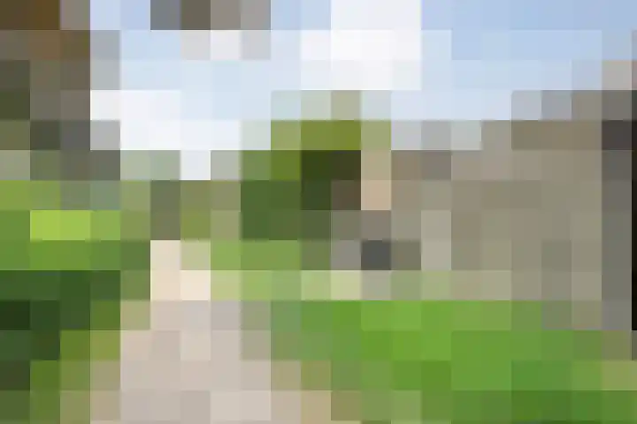 Reiger 97 Raalte thumbnail 40