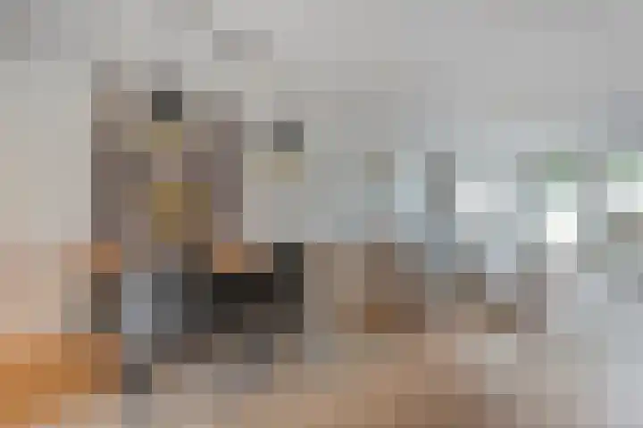 Reiger 97 Raalte thumbnail 7