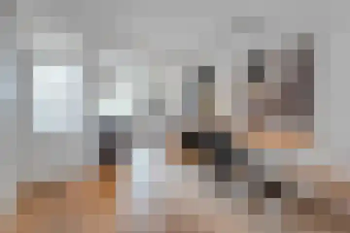 Reiger 97 Raalte thumbnail 8