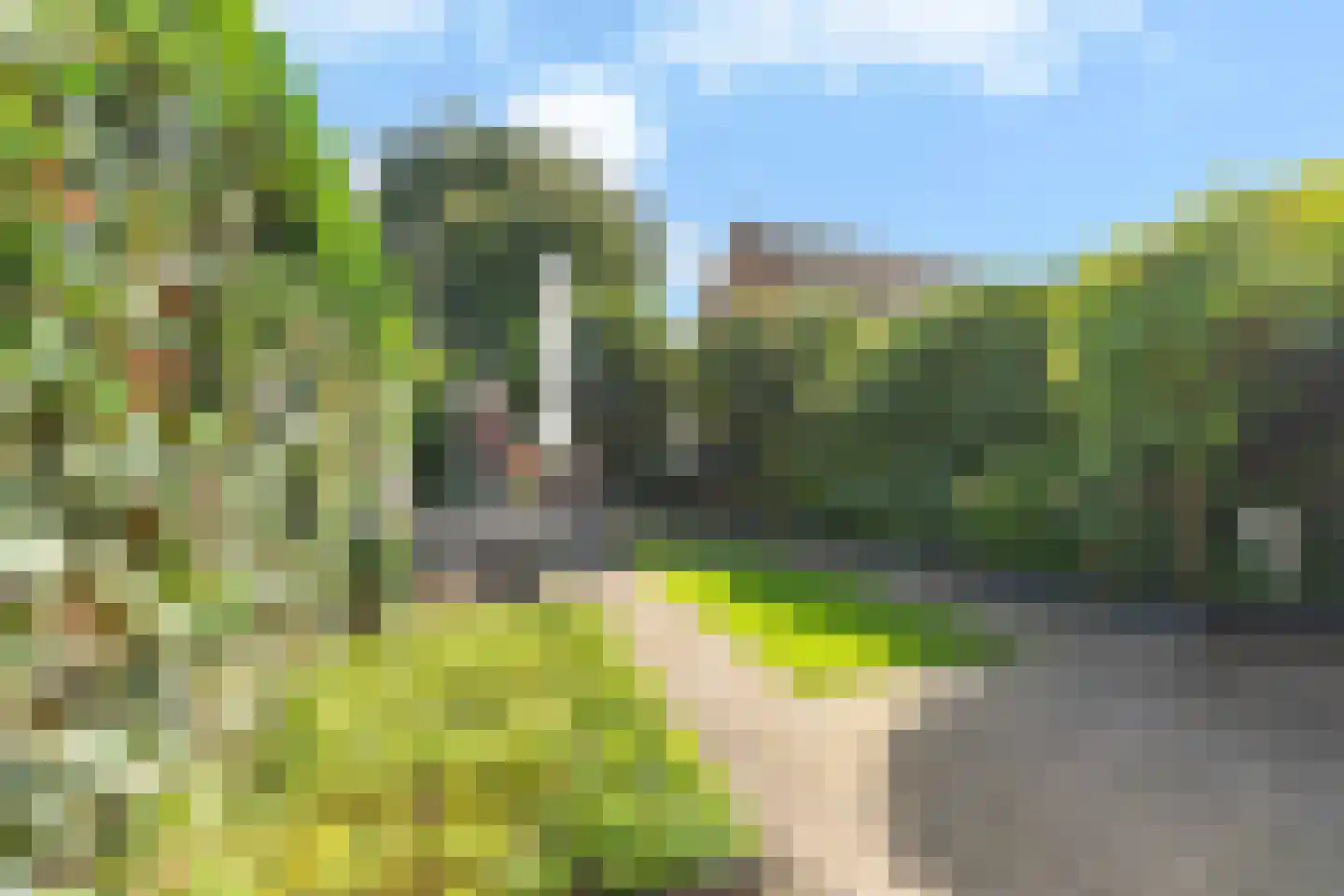 Reigerbos 24 Huissen thumbnail 30
