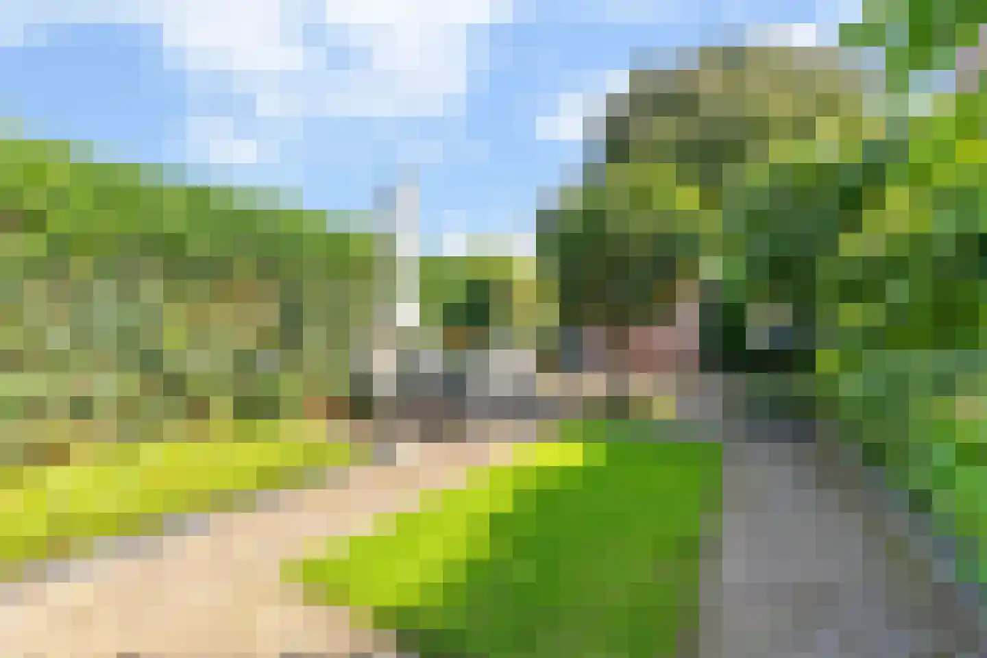 Reigerbos 24 Huissen thumbnail 31