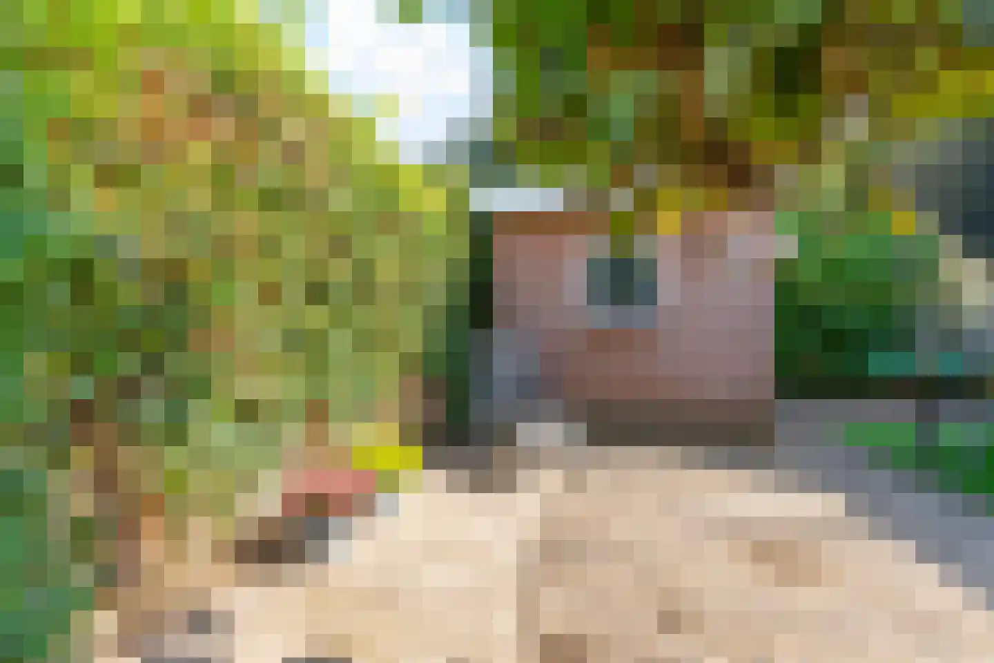 Reigerbos 24 Huissen thumbnail 32